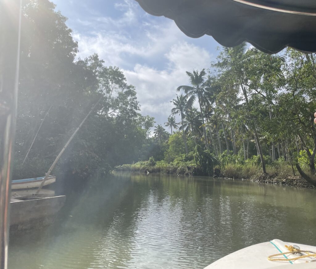 Poovar backwaters